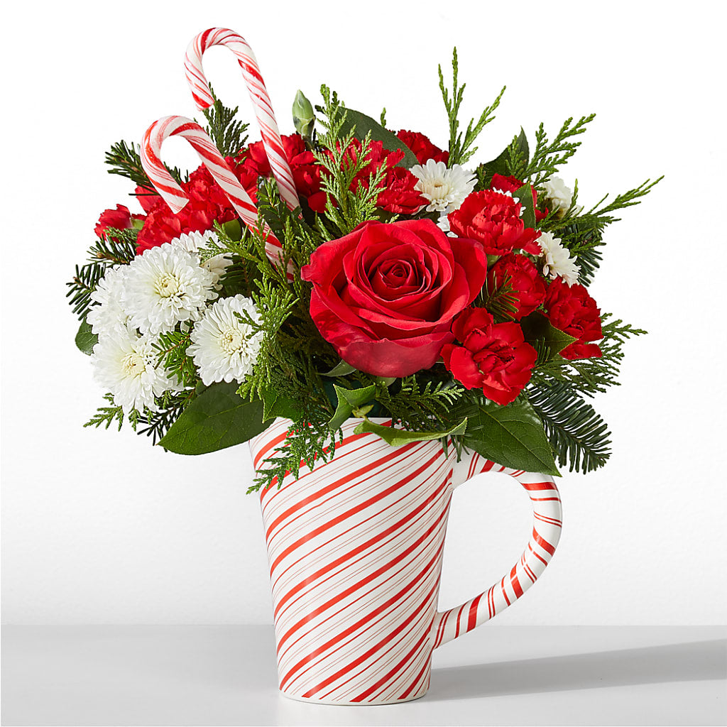 Peppermint Swirl Mug – My Sisters Garden, Higginsville MO