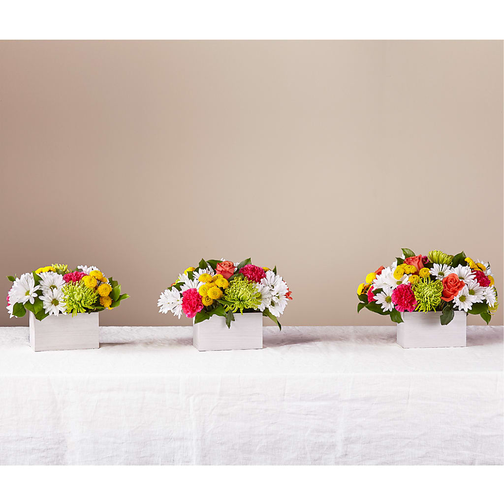 Sorbet Bouquet – My Sisters Garden, Higginsville MO