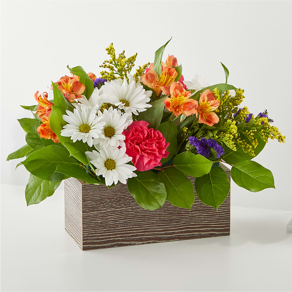 Oopsie Daisy Box Bouquet – My Sisters Garden, Higginsville MO
