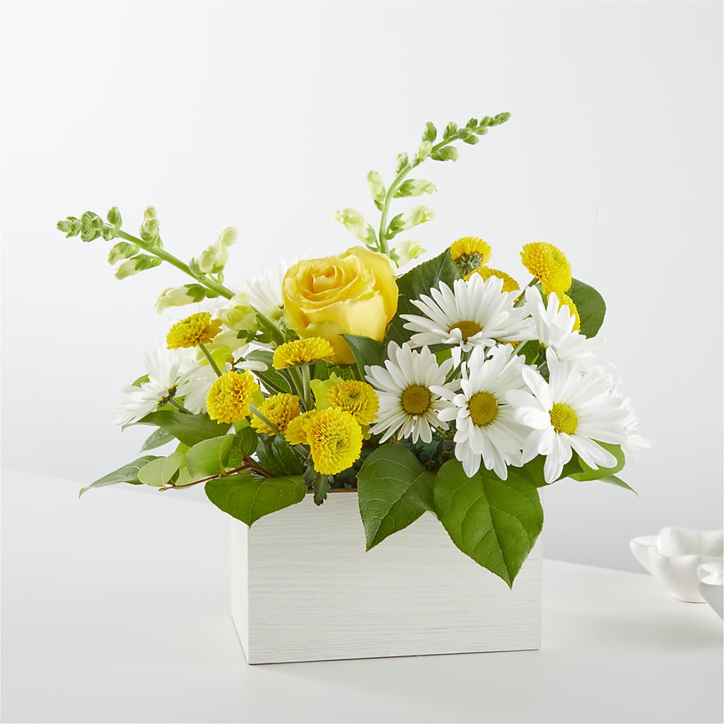 Sun Salutation Box Bouquet – My Sisters Garden, Higginsville MO