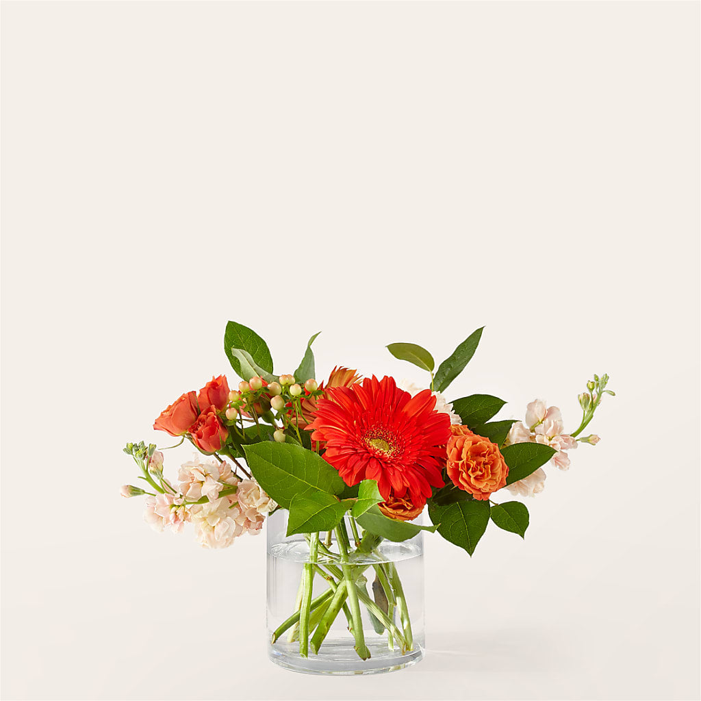 Paloma Please Bouquet – My Sisters Garden, Higginsville MO