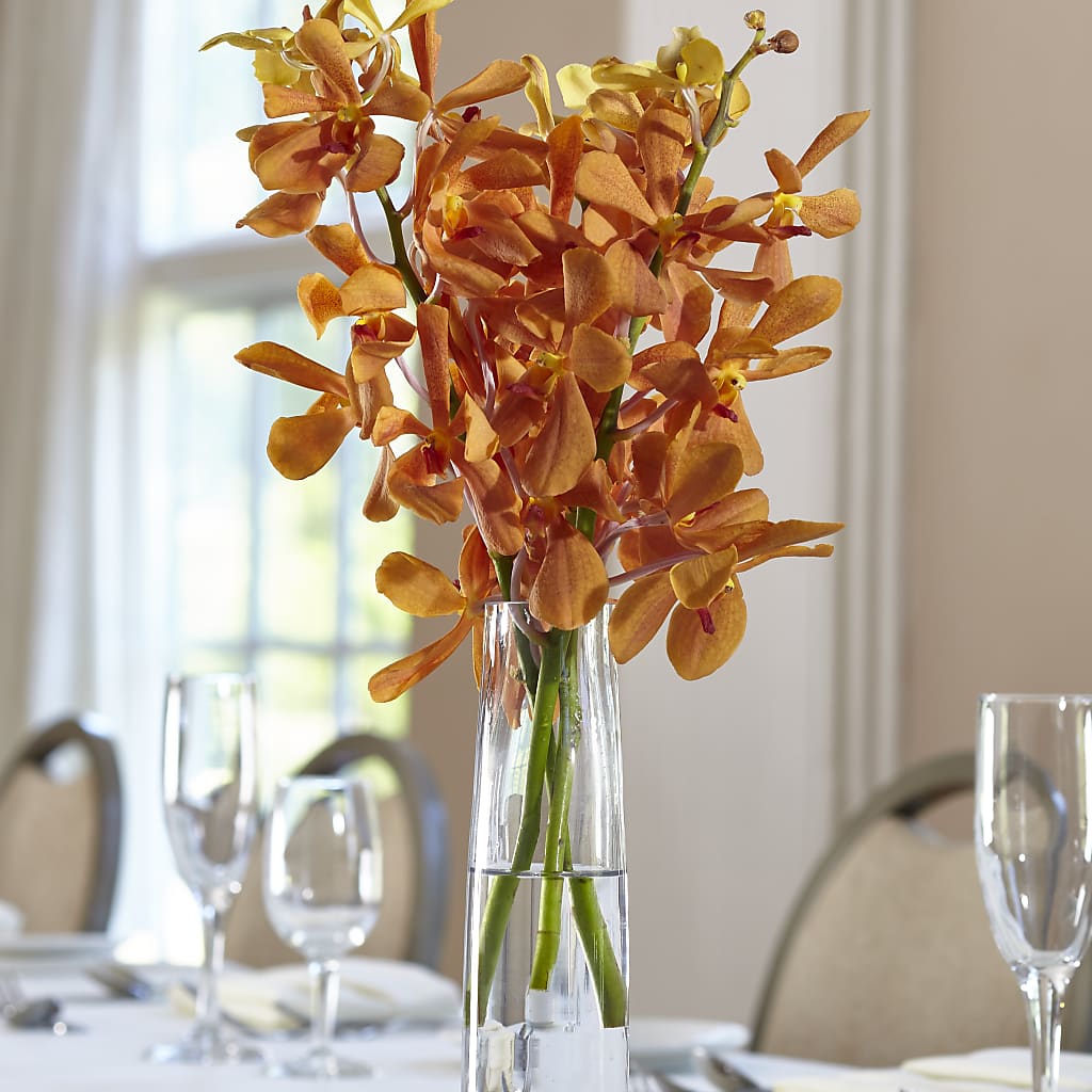 Orange Mokara Bud Vase – My Sisters Garden, Higginsville MO