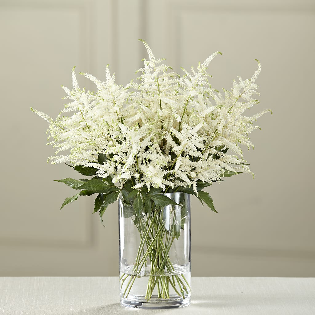 White Astilbe Bouquet – My Sisters Garden, Higginsville MO