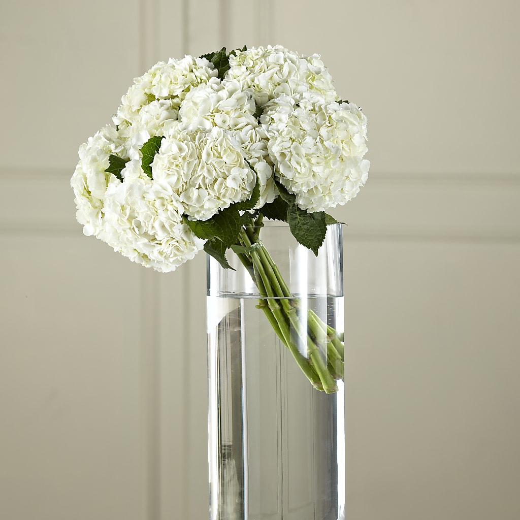 White Hydrangea Hand-Tied Bouquet – My Sisters Garden, Higginsville MO