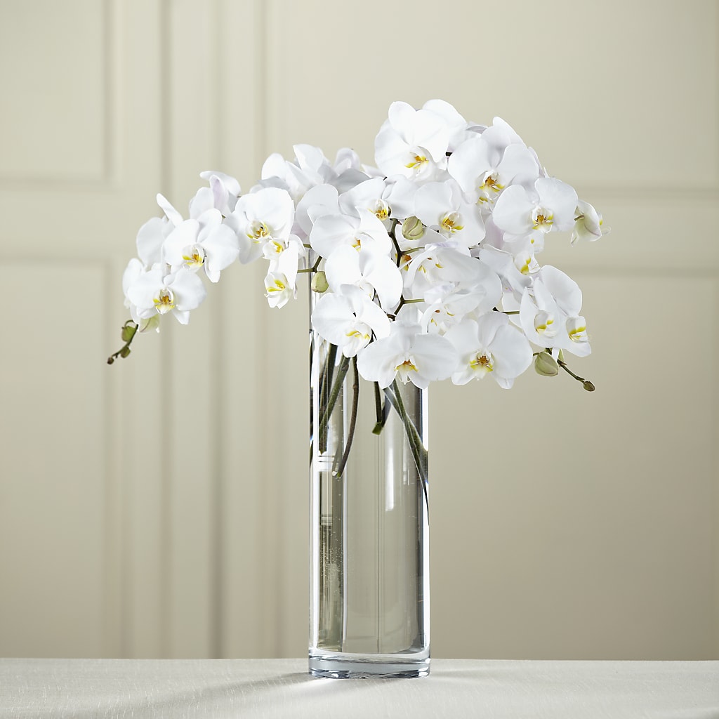 White Phalaenopsis Bouquet – My Sisters Garden, Higginsville MO