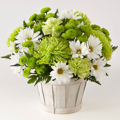 Lucky Charm Basket (Standard) –  My Sisters Garden, Higginsville MO