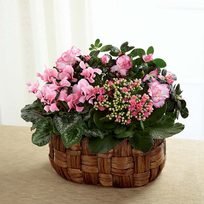 Pink Assortment –  My Sisters Garden, Higginsville MO