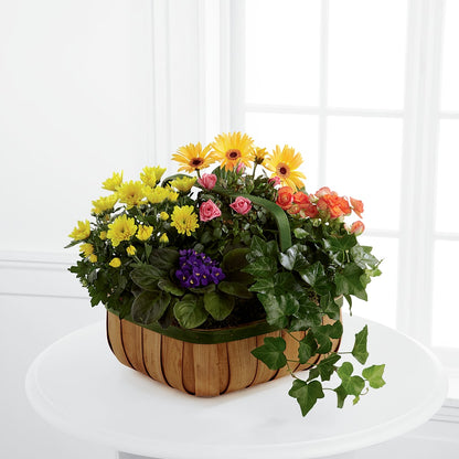 Gentle Blossoms Basket –  My Sisters Garden, Higginsville MO