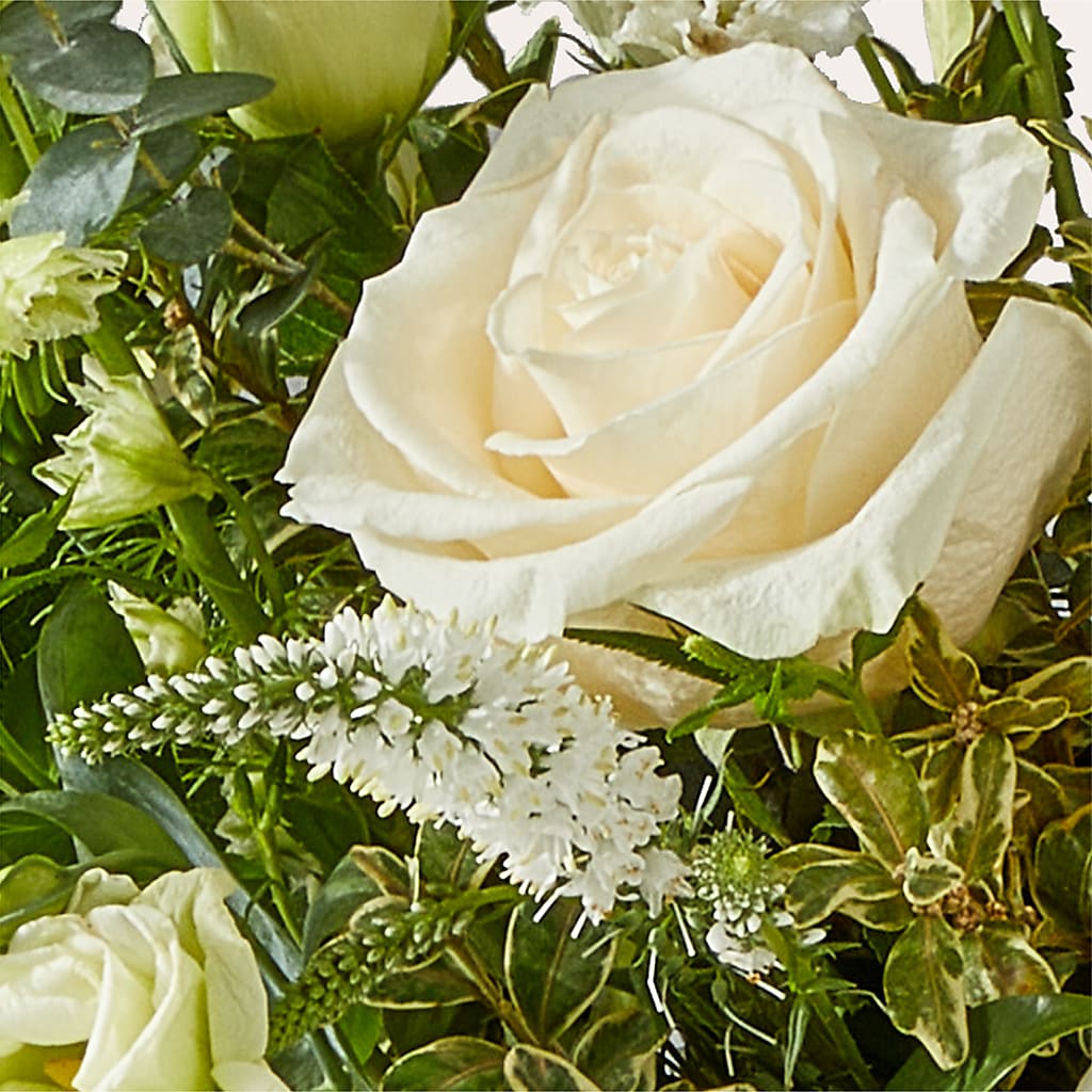 Cashmere Bouquet –  My Sisters Garden, Higginsville MO
