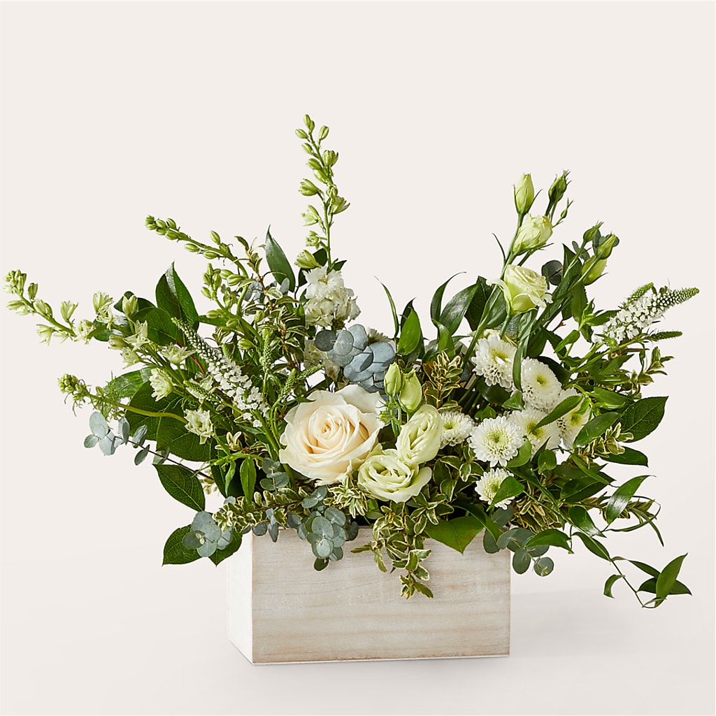 Cashmere Bouquet –  My Sisters Garden, Higginsville MO
