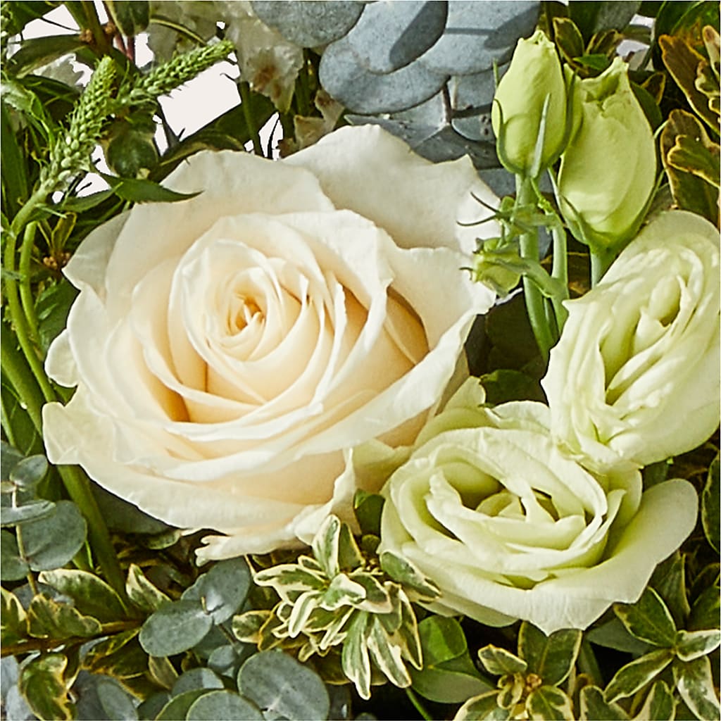 Cashmere Bouquet –  My Sisters Garden, Higginsville MO