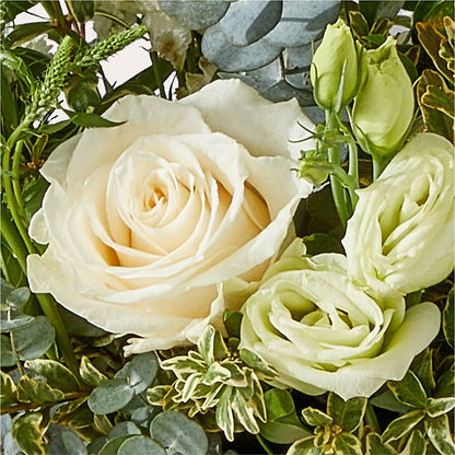 Cashmere Bouquet –  My Sisters Garden, Higginsville MO