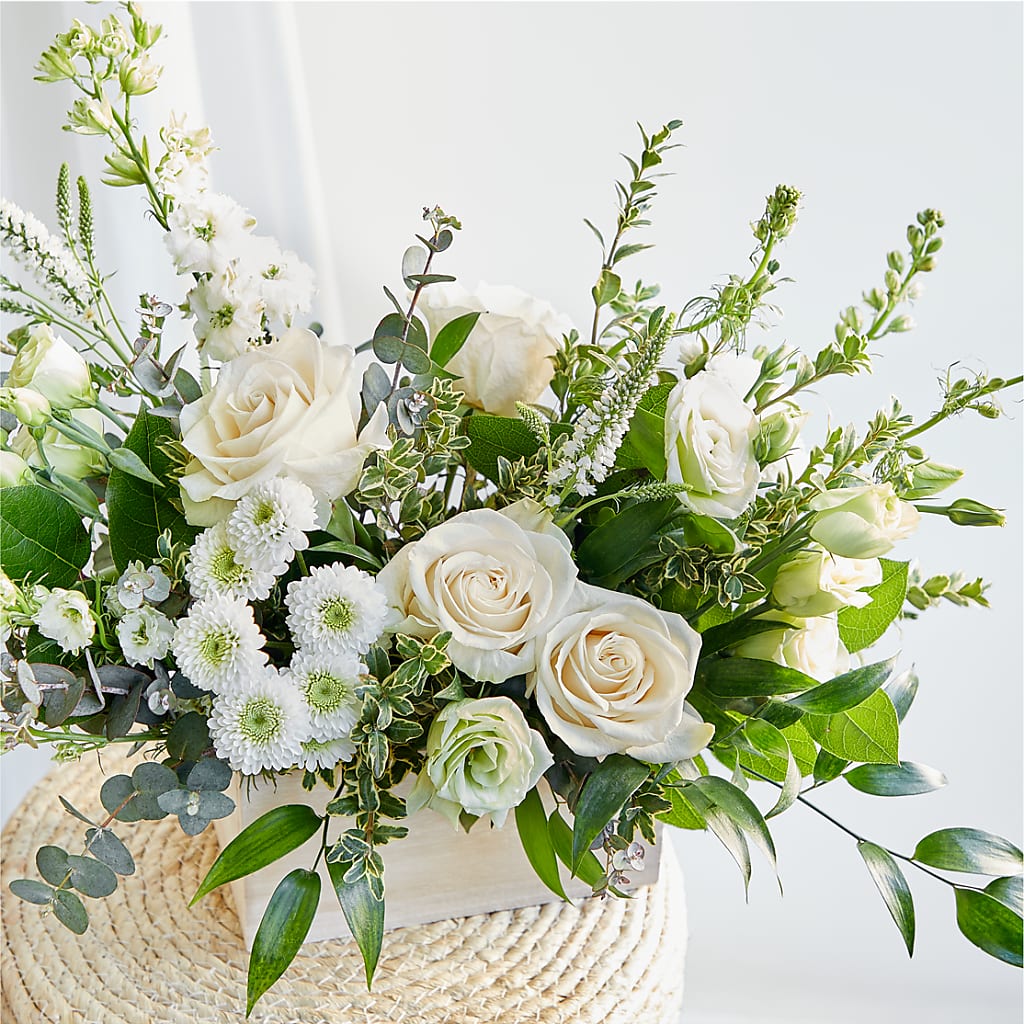 Cashmere Bouquet –  My Sisters Garden, Higginsville MO