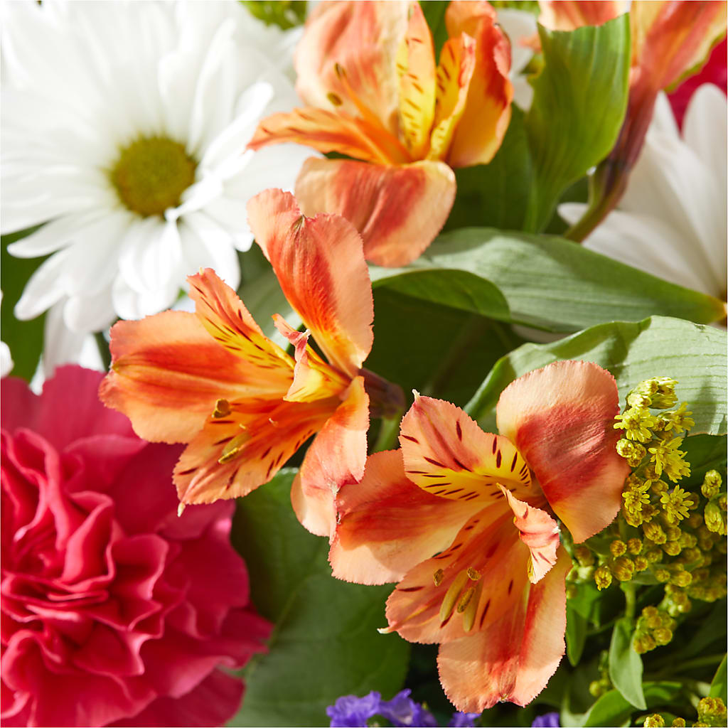 Oopsie Daisy Box Bouquet –  My Sisters Garden, Higginsville MO