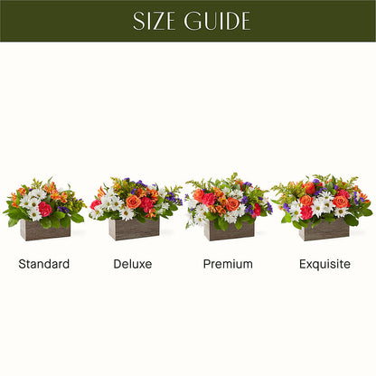 Oopsie Daisy Box Bouquet –  My Sisters Garden, Higginsville MO