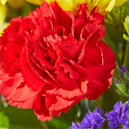 Brighter Days Bouquet –  My Sisters Garden, Higginsville MO