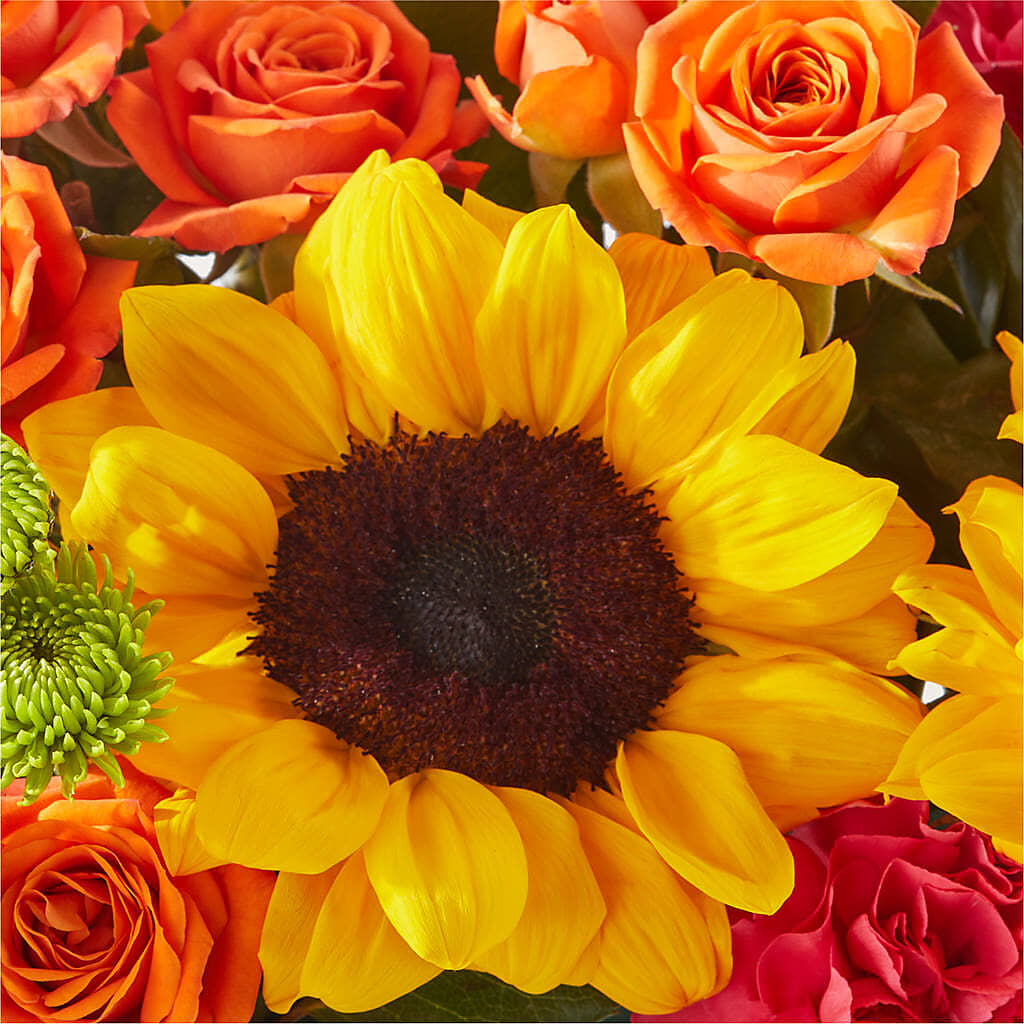 Sun-drenched Blooms Box Bouquet –  My Sisters Garden, Higginsville MO