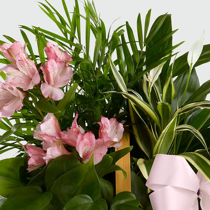 Living Spirit Dishgarden –  My Sisters Garden, Higginsville MO