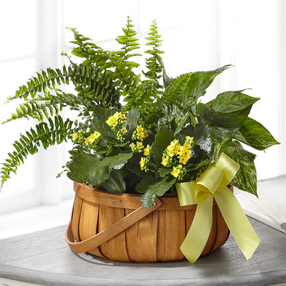 Always Dear Dishgarden –  My Sisters Garden, Higginsville MO