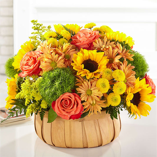 Harvest Sunflower Basket –  My Sisters Garden, Higginsville MO