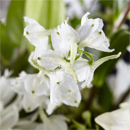 Classic Ivory – A Florist Original –  My Sisters Garden, Higginsville MO