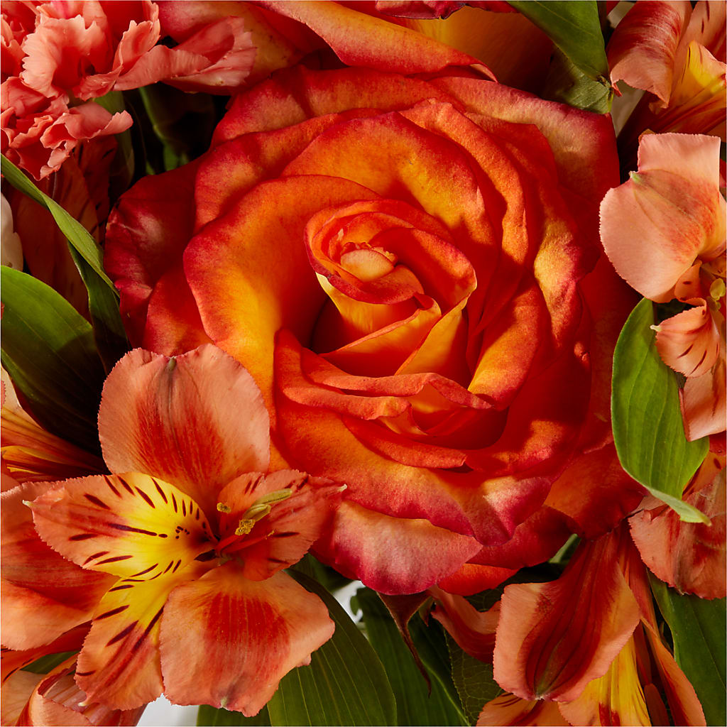 Apricot Glow Bouquet –  My Sisters Garden, Higginsville MO