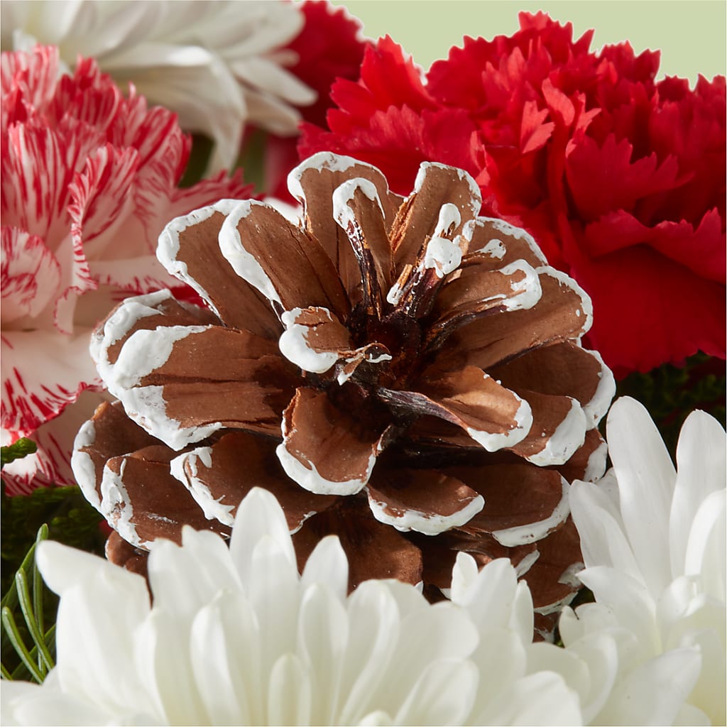 Candy Cane Lane Bouquet –  My Sisters Garden, Higginsville MO