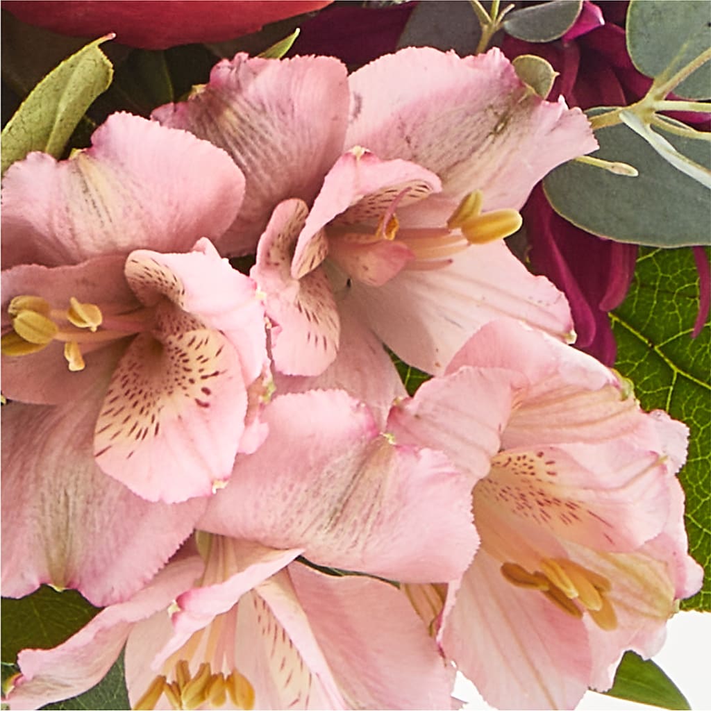 Berry Cobbler Bouquet –  My Sisters Garden, Higginsville MO