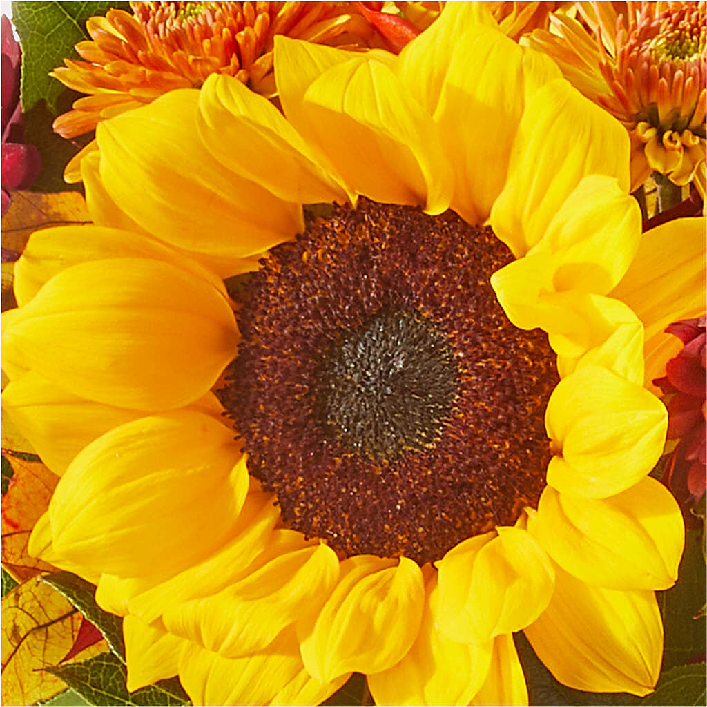 Sunny Side Bouquet –  My Sisters Garden, Higginsville MO