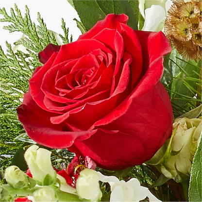 Deck the Halls Bouquet –  My Sisters Garden, Higginsville MO