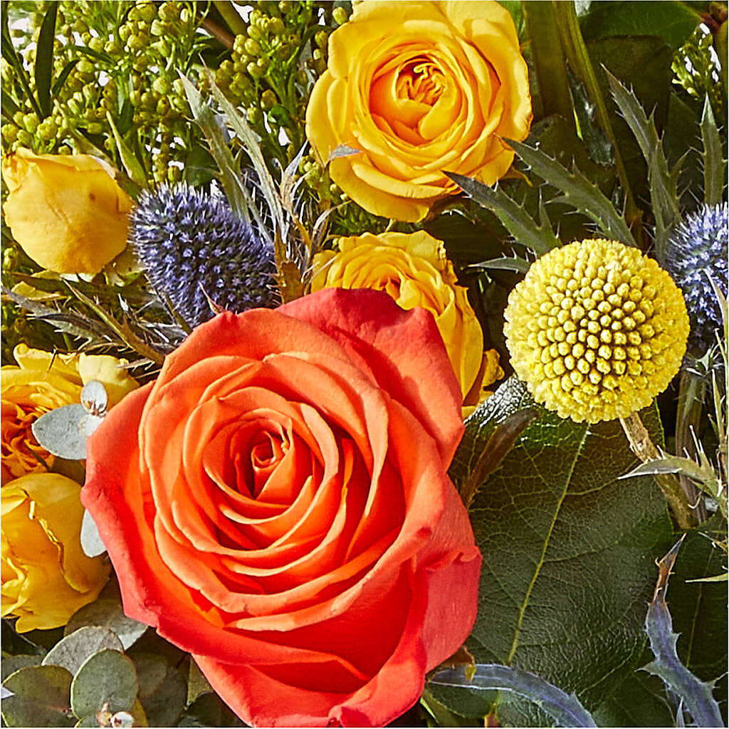 Disco Bouquet –  My Sisters Garden, Higginsville MO
