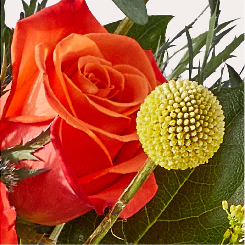 Disco Bouquet –  My Sisters Garden, Higginsville MO
