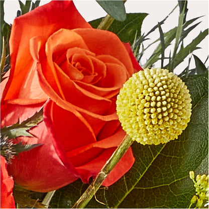 Disco Bouquet –  My Sisters Garden, Higginsville MO
