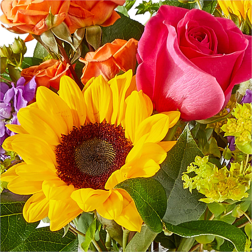 Vibrant Greetings Bouquet –  My Sisters Garden, Higginsville MO