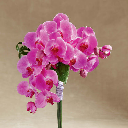 Glorious Bouquet –  My Sisters Garden, Higginsville MO