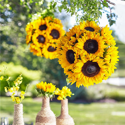 Sublime Garden Hanging Arrangement –  My Sisters Garden, Higginsville MO