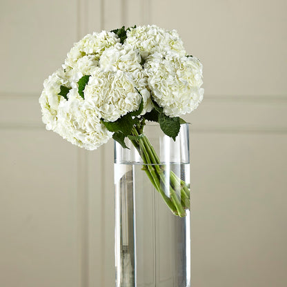 White Hydrangea Hand-Tied Bouquet –  My Sisters Garden, Higginsville MO
