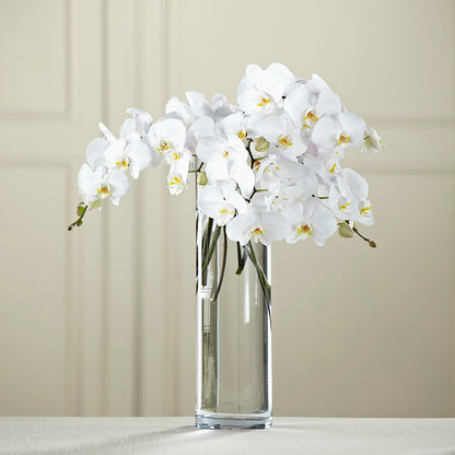 White Phalaenopsis Bouquet –  My Sisters Garden, Higginsville MO
