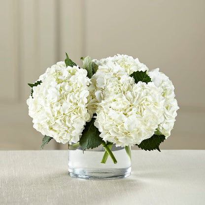 White Hydrangea Bouquet –  My Sisters Garden, Higginsville MO